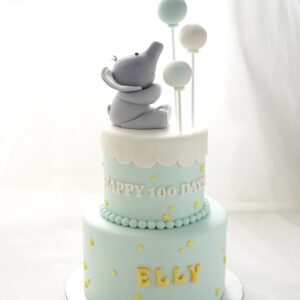 小象抱抱糖皮蛋糕